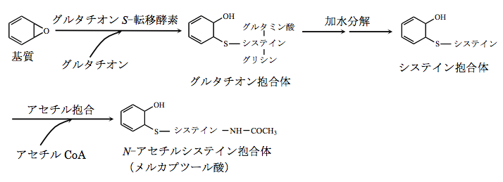 解説画像